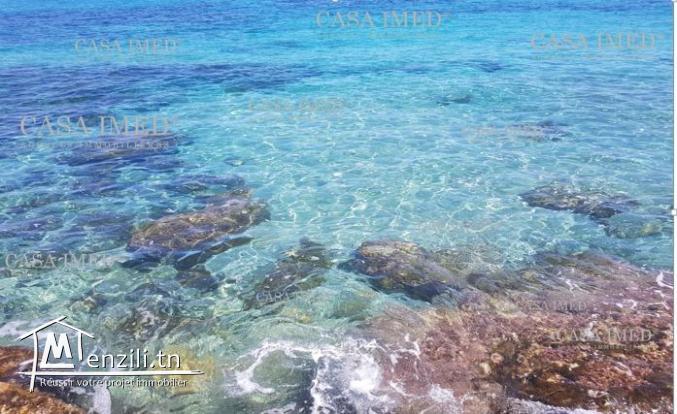 kélébia.kerkwane. terrain