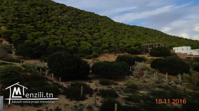 Très bel appartement à Sidi Ali El Mekki