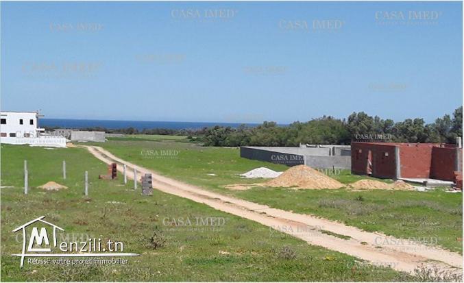 Terrain vue sur mer à kerkouane kélibia