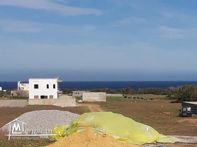 Terrain vue sur mer à kerkouane kélibia