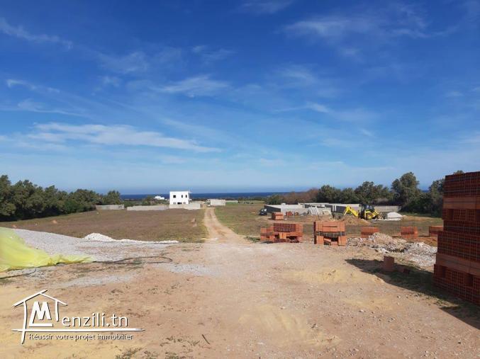 Terrain vue sur mer à kerkouane kélibia