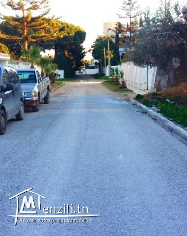 A vendre terrain a sidi mahrsi1