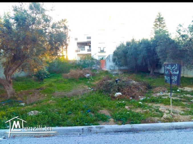 A vendre terrain a sidi mahrsi1