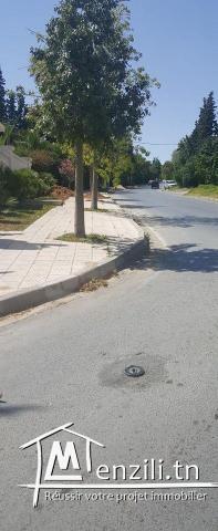 Villa 1101m2 à Notre Dame Mutuelle Ville