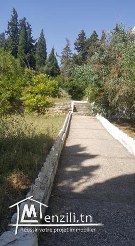 Villa 1101m2 à Notre Dame Mutuelle Ville