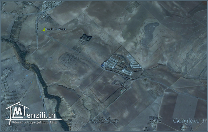 TERRAIN AGRICOLE A VENDRE A SILIANA BOUARADA ( SIDI MEDIAN )