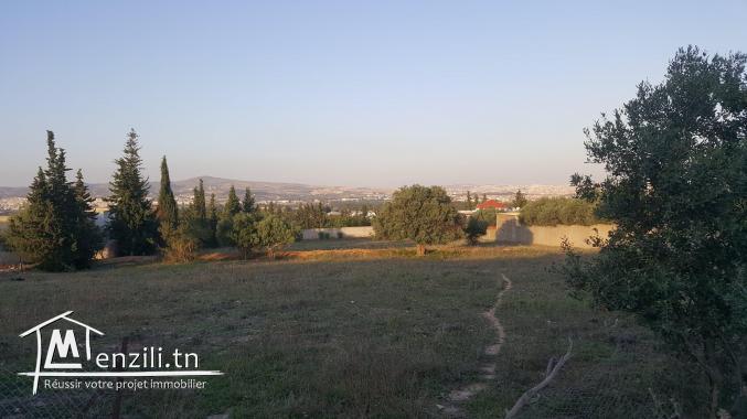 A vendre terrain à Sanheja