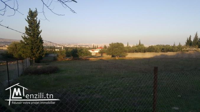 A vendre terrain à Sanheja