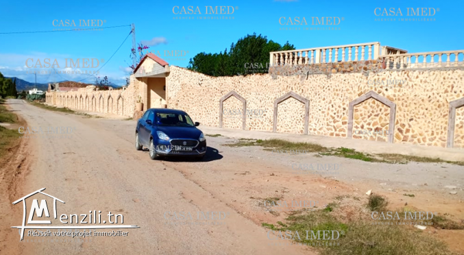 terrain à hammamet à 20000 dt