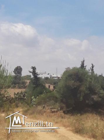 Terrain a Chatt mariem Tantana