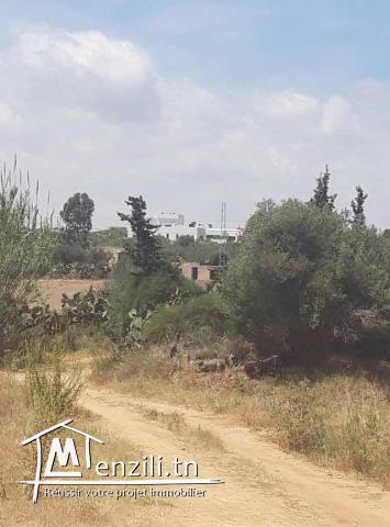 Terrain a Chatt mariem Tantana
