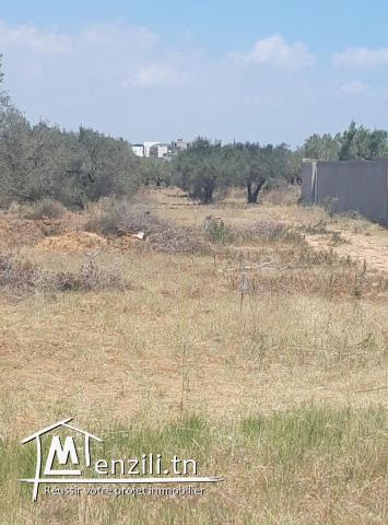 Terrain a Chatt mariem Tantana