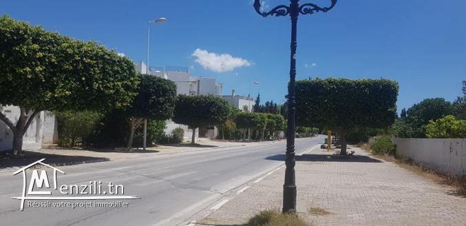 A vendre un lot de 360 m²