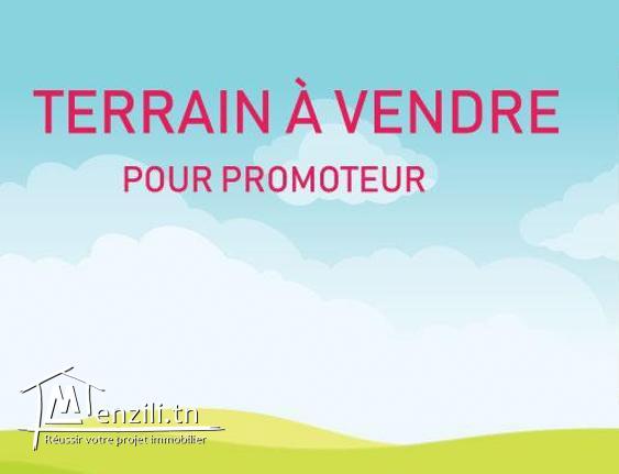 Terrain à vendre destiné pour prometteurs