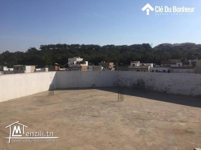 magnifique appartement plein ariana