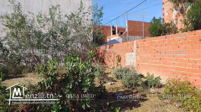 terrain merzega a vendre