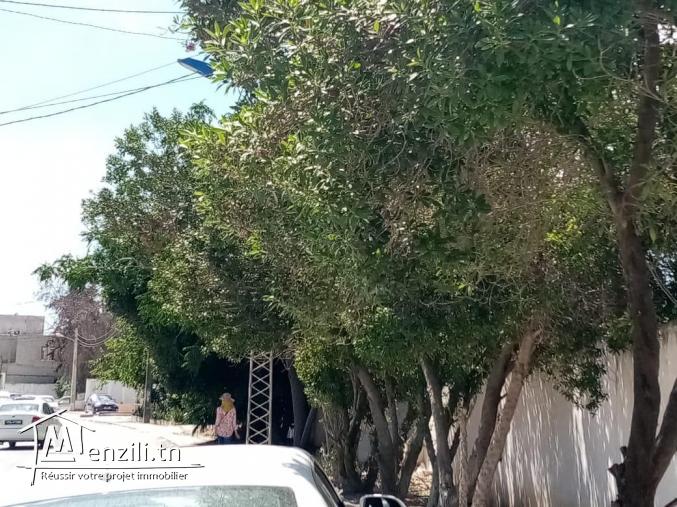 vente   un superbe terrain à   chotrana 2