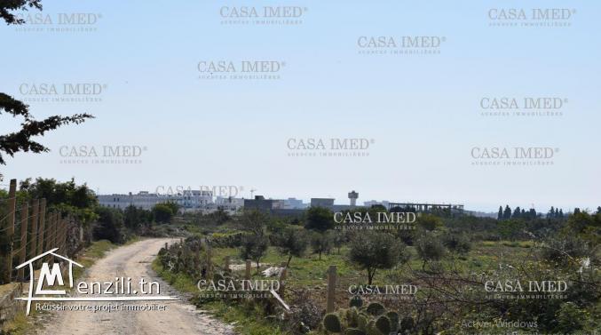 terrain a vendre de 5000 m2