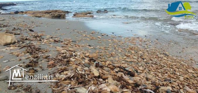 terrain agricole pieds dans l'eau