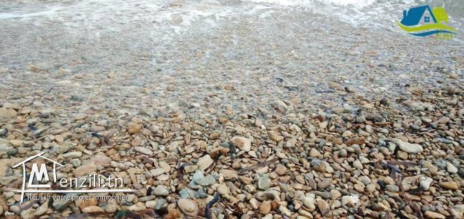 terrain agricole pieds dans l'eau