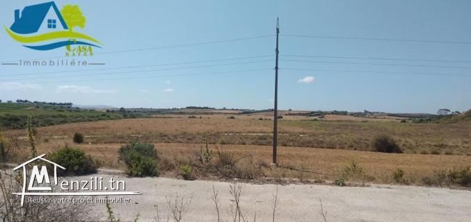 ✔️زوز هكتارات في منطقة صناعية بقليبية