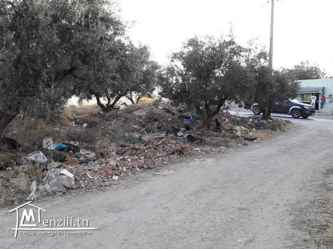 A vendre un terrain á Birine (98595250)