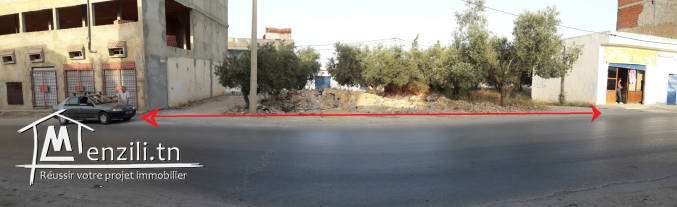 A vendre un terrain á Birine (98595250)