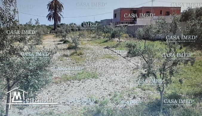 Un superbe terrain de 580 m2