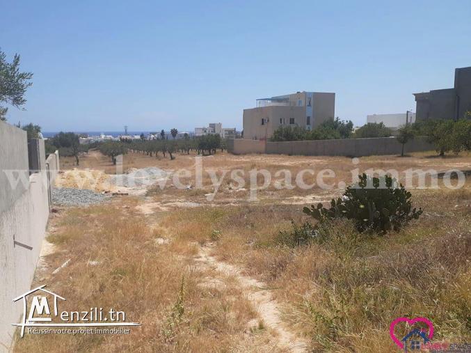 a vendre un terrain a hammamet nord route mrezga