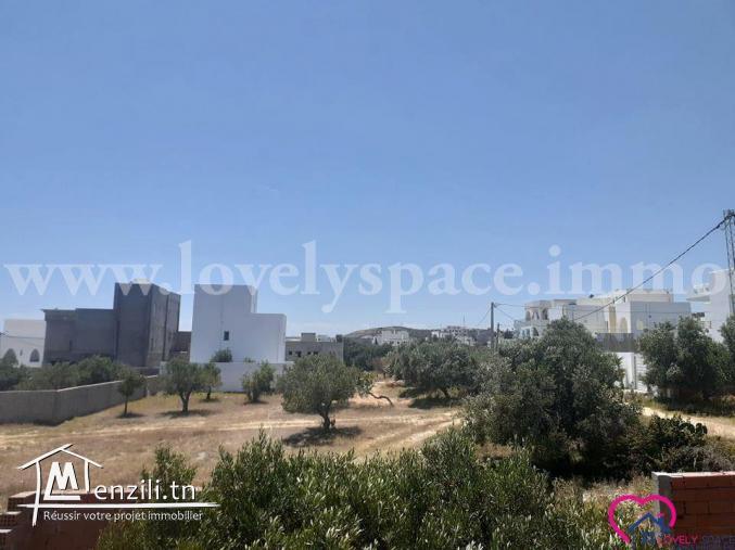 a vendre un terrain a hammamet nord route mrezga