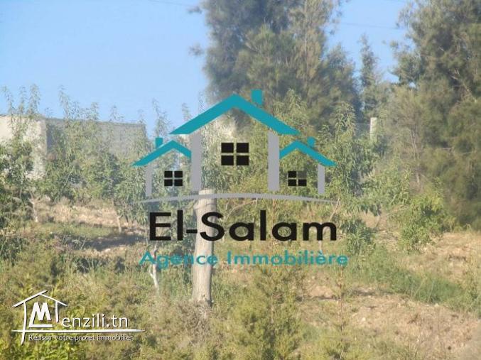 sur une coline vu de mer occasion a ne pas raté