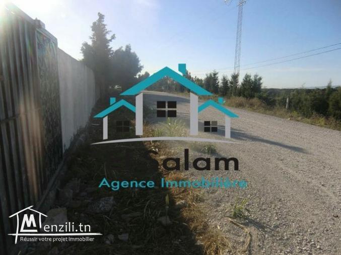 sur une coline vu de mer occasion a ne pas raté