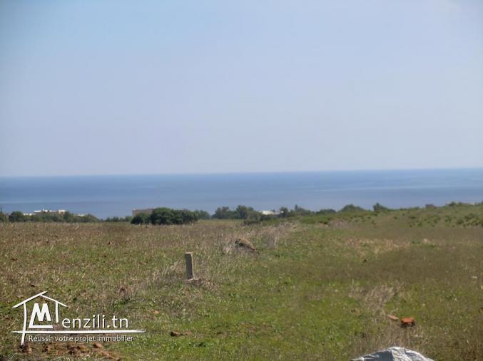 lottisement vu de mer 120dt le m2 seulement
