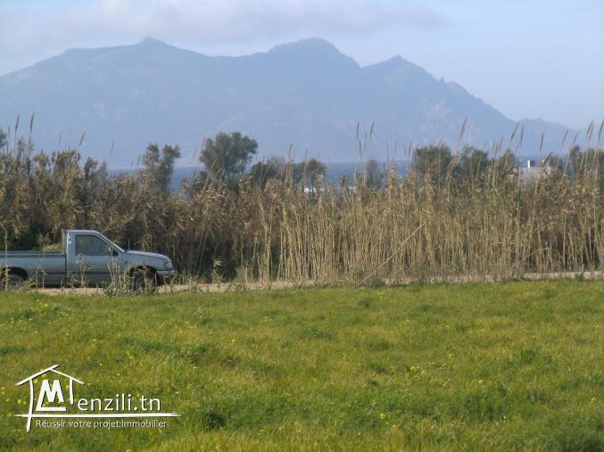 vu de iles zimbra et zembreta aussi vu de la plage