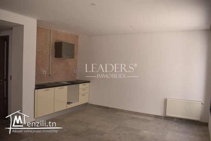 S+1, S+2 et S+3 a vendre