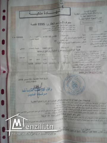 terrain agricole gafsa أرض فلاحية