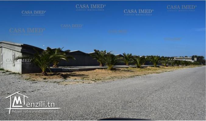Terrain commercial de 210 m² à kerkouan