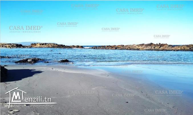 Terrain commercial de150 m² à kerkouan