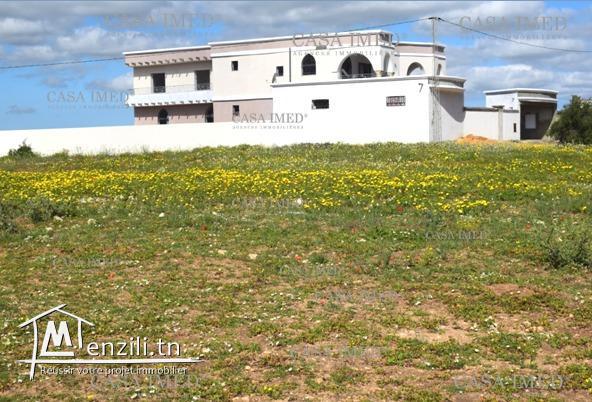 Terrain commercial de150 m² à kerkouan