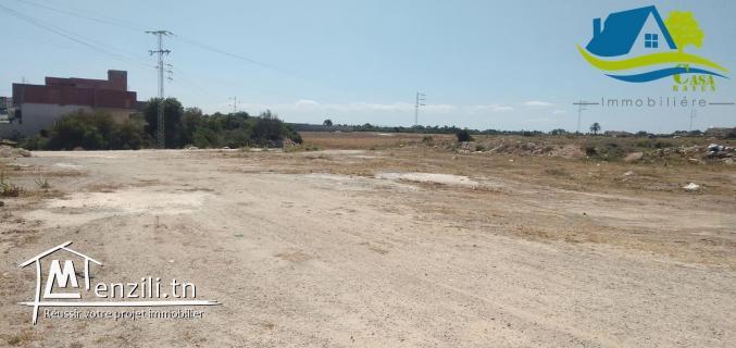 تقسيم جديد في مدخل قليبية على الطريق الرئيسي