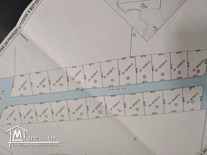 وزيدفماتسهيلات في الدفع