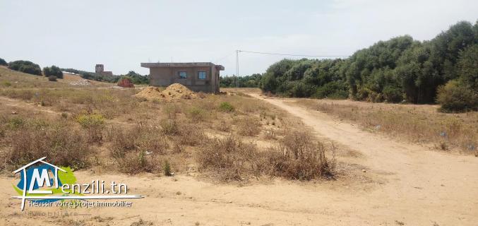 وزيدفماتسهيلات في الدفع