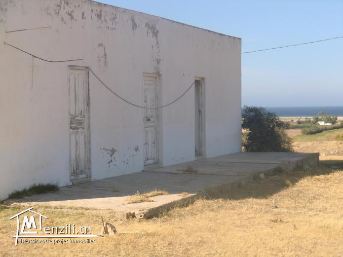 belle maison style  arabe titre bleu vu panoramique