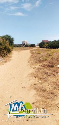 اراضي في قليبية