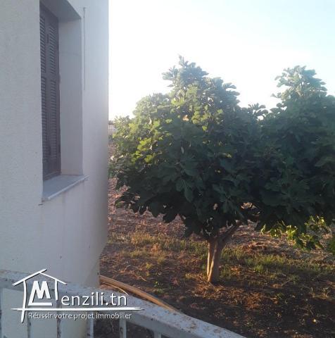 سانية للبيع في نعسان