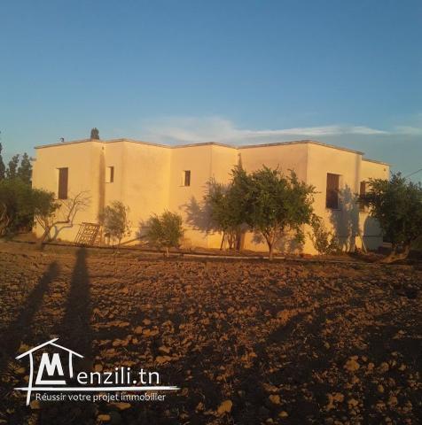 سانية للبيع في نعسان