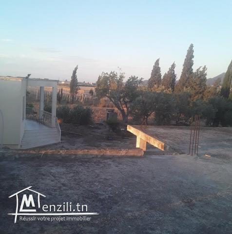 سانية للبيع في نعسان