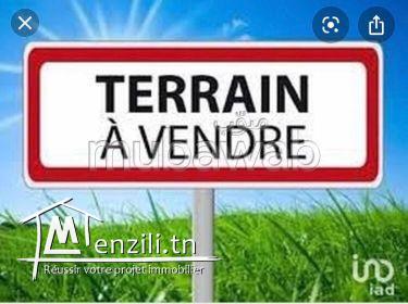 vente de terain