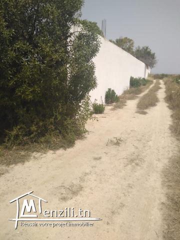 À Vendre un Terrain de 1506m² À Cité Chaker, Raoued