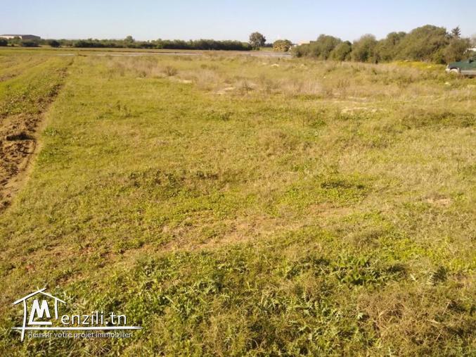 À Vendre un Terrain de 1506m² À Cité Chaker, Raoued